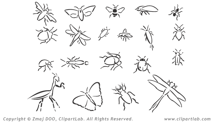Bugs And Insects Clipart.