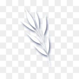 White Leaves PNG Images.