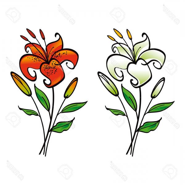 Top White Lily Clip Art Image.