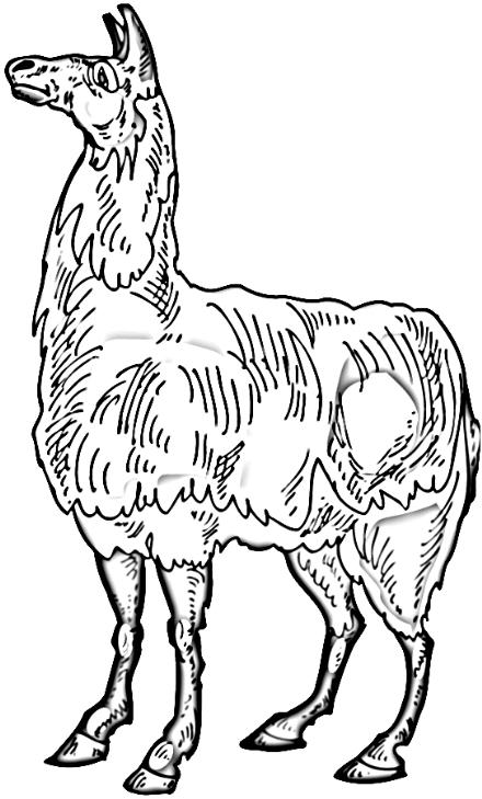 Llama Clipart.