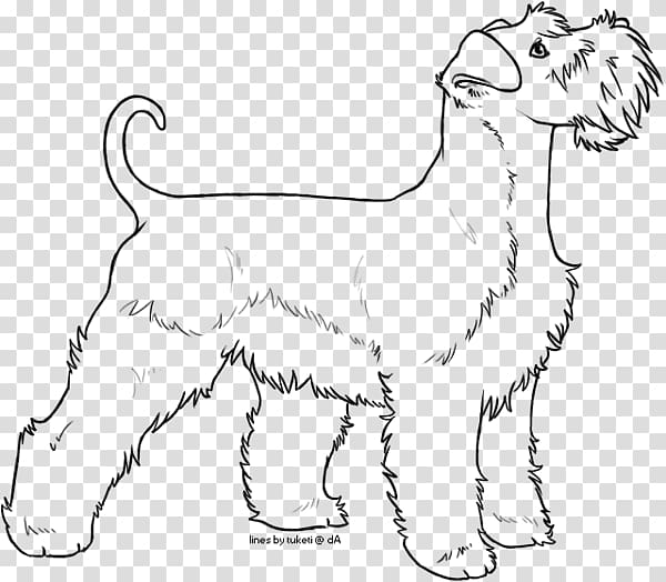 Dog breed Puppy Miniature Schnauzer Giant Schnauzer Standard.