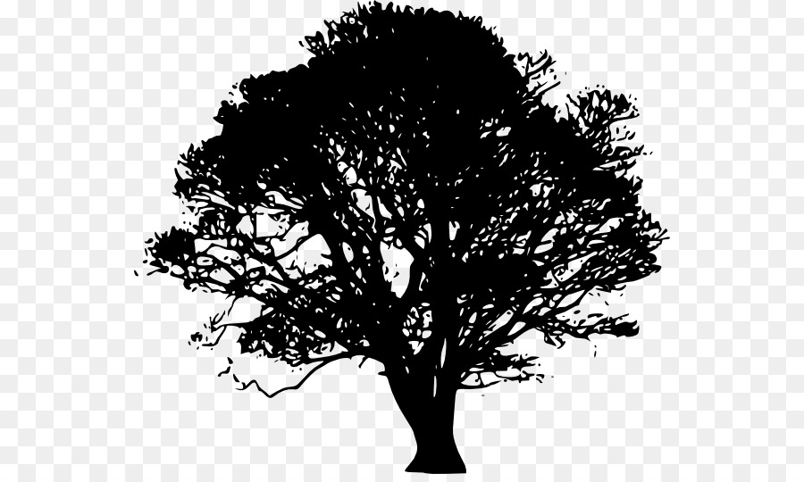 Oak Tree Silhouette png download.