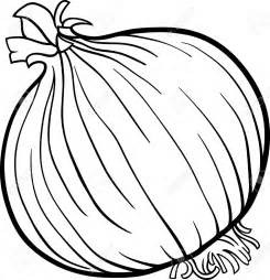 Clipart Black And White Onion.