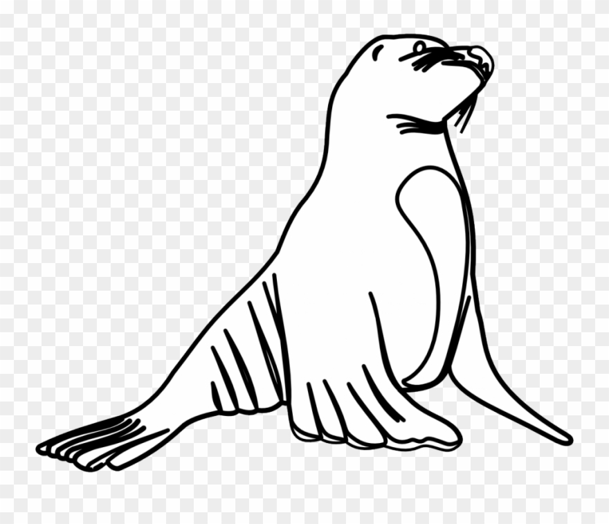 Cartoon Of An Outlined Cute Sea Lion Royalty Free Vector.