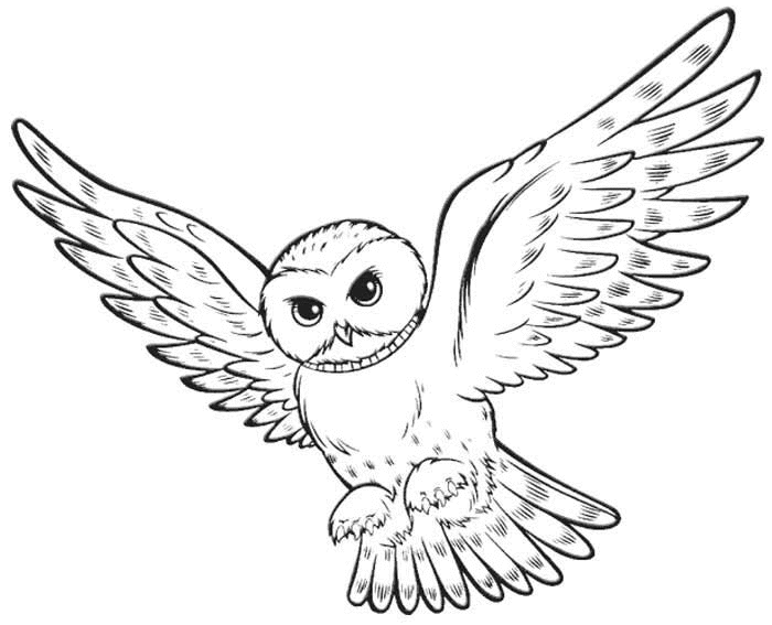 Coloring pages harry potter free and printable clipart.
