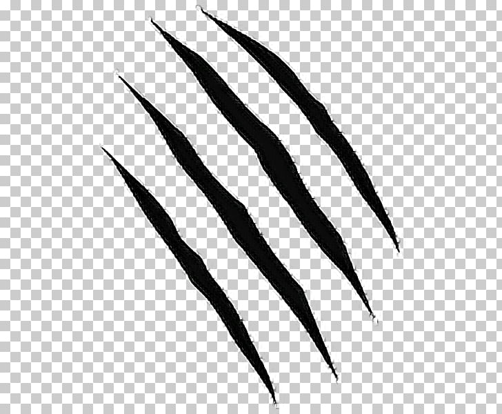 claw marks design