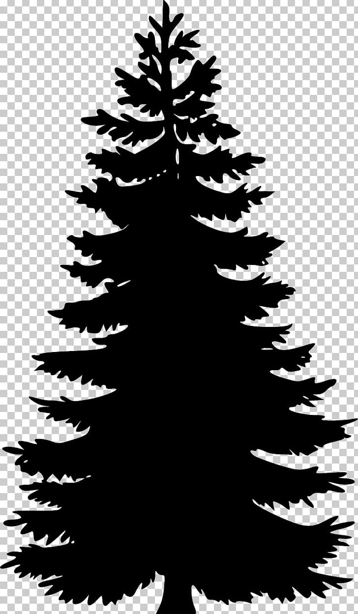 Eastern White Pine Tree PNG, Clipart, Art, Black And White.