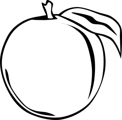 White Plum Clipart.