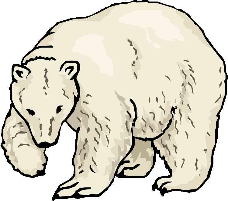 Clipart of the white polar bear free image.