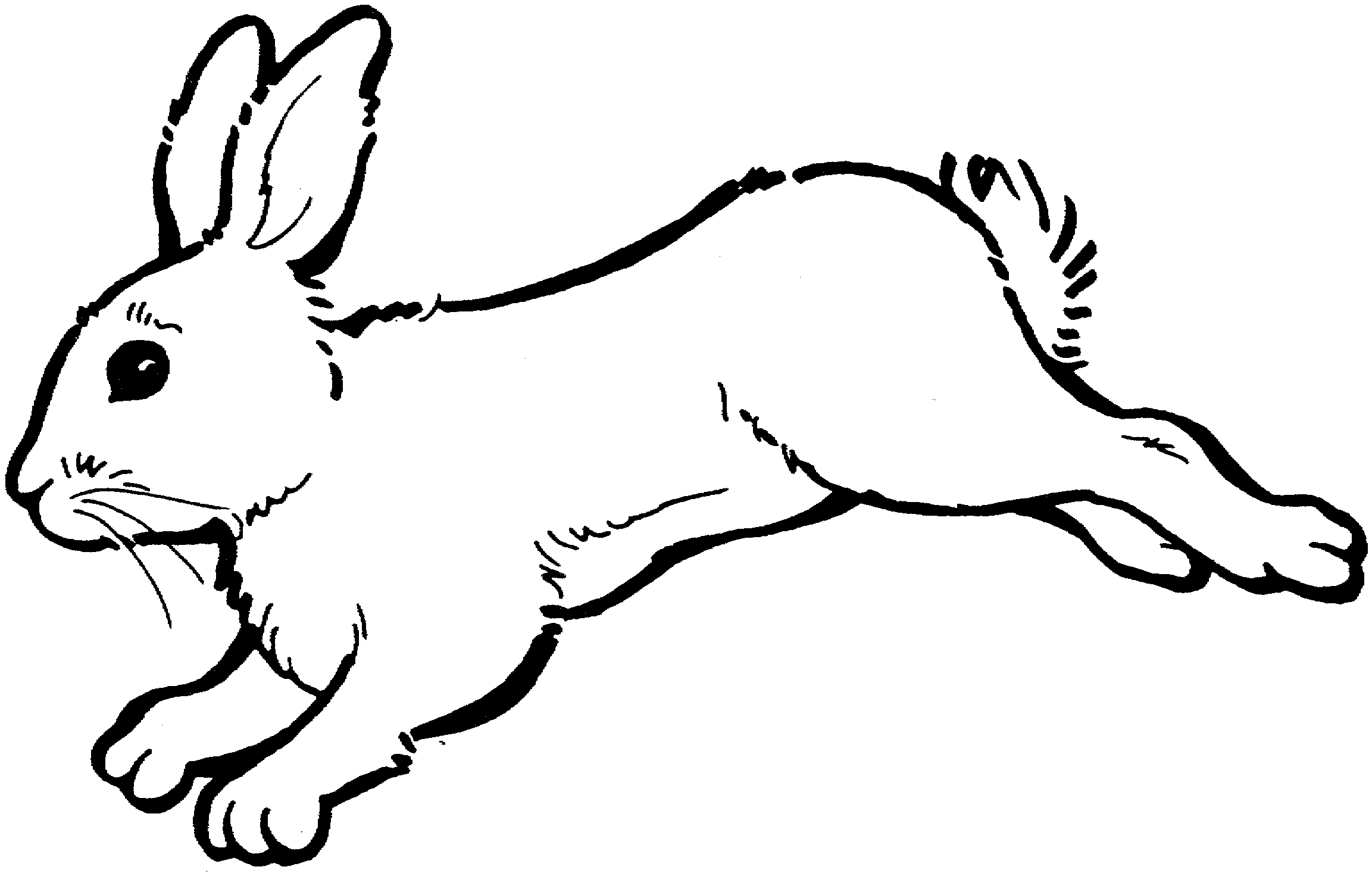 Bunny Clipart Black And White Clipart.Guru Free Clipart Images.
