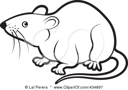 Rat Clipart Black And White.