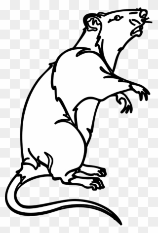 Free PNG Rat Black And White Clip Art Download.