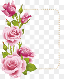 White Rose Border PNG.