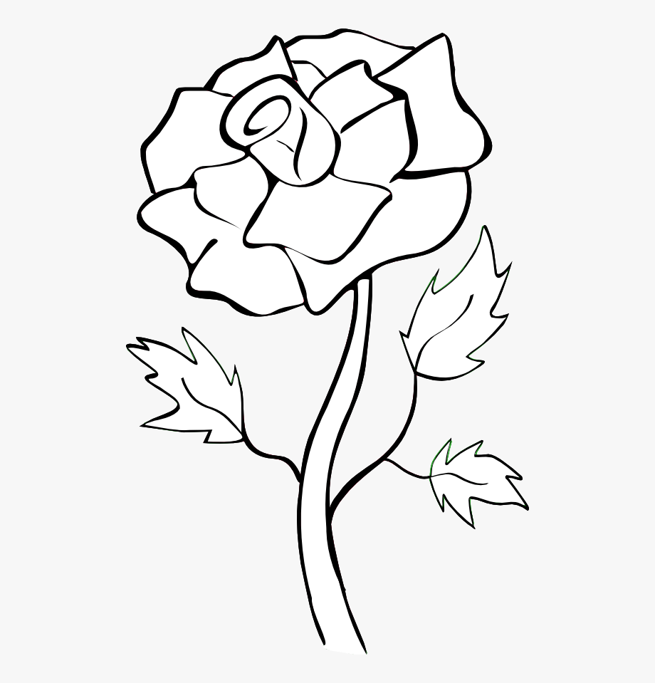 White Rose Clip Art.