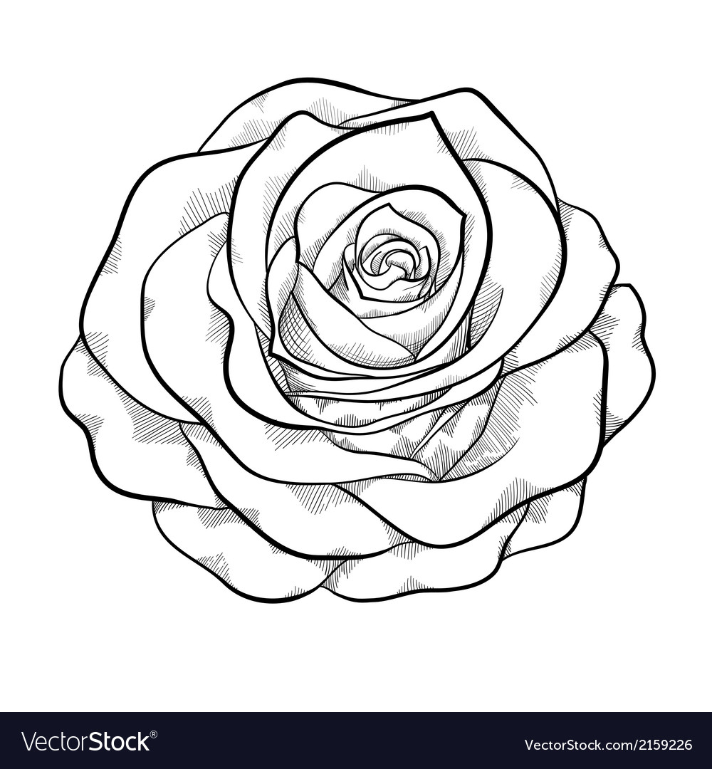 Black And White Rose Free Download Clip Art.