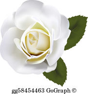 White Rose Clip Art.