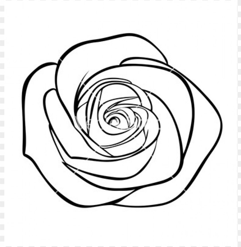 Download png rose outline s clipart png photo.