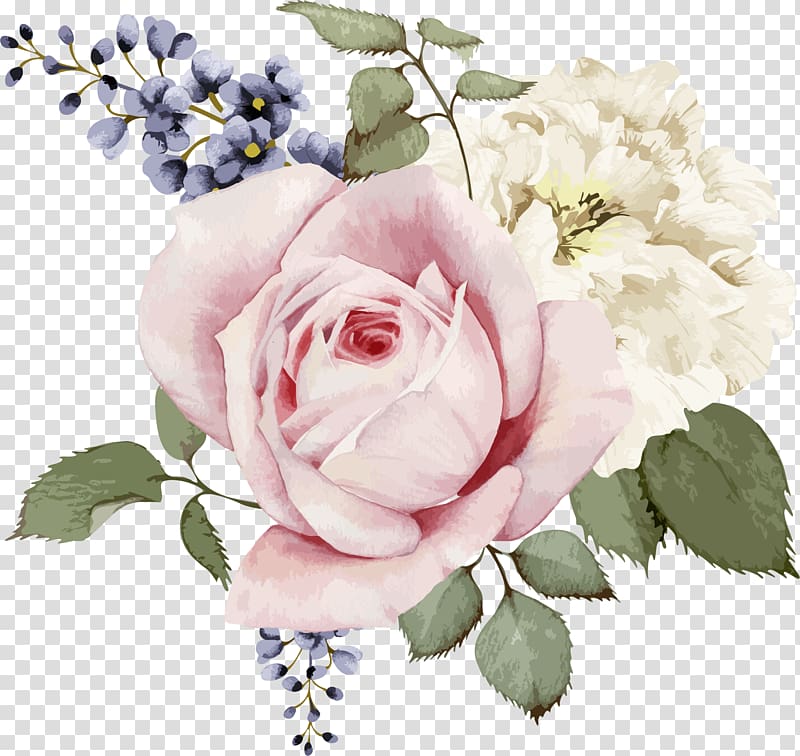 Rose Painting illustration Flower, Pink rose and white rose.
