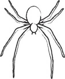 Watch more like Spider Outline Clip Art.