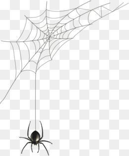 Spider Web PNG Images.