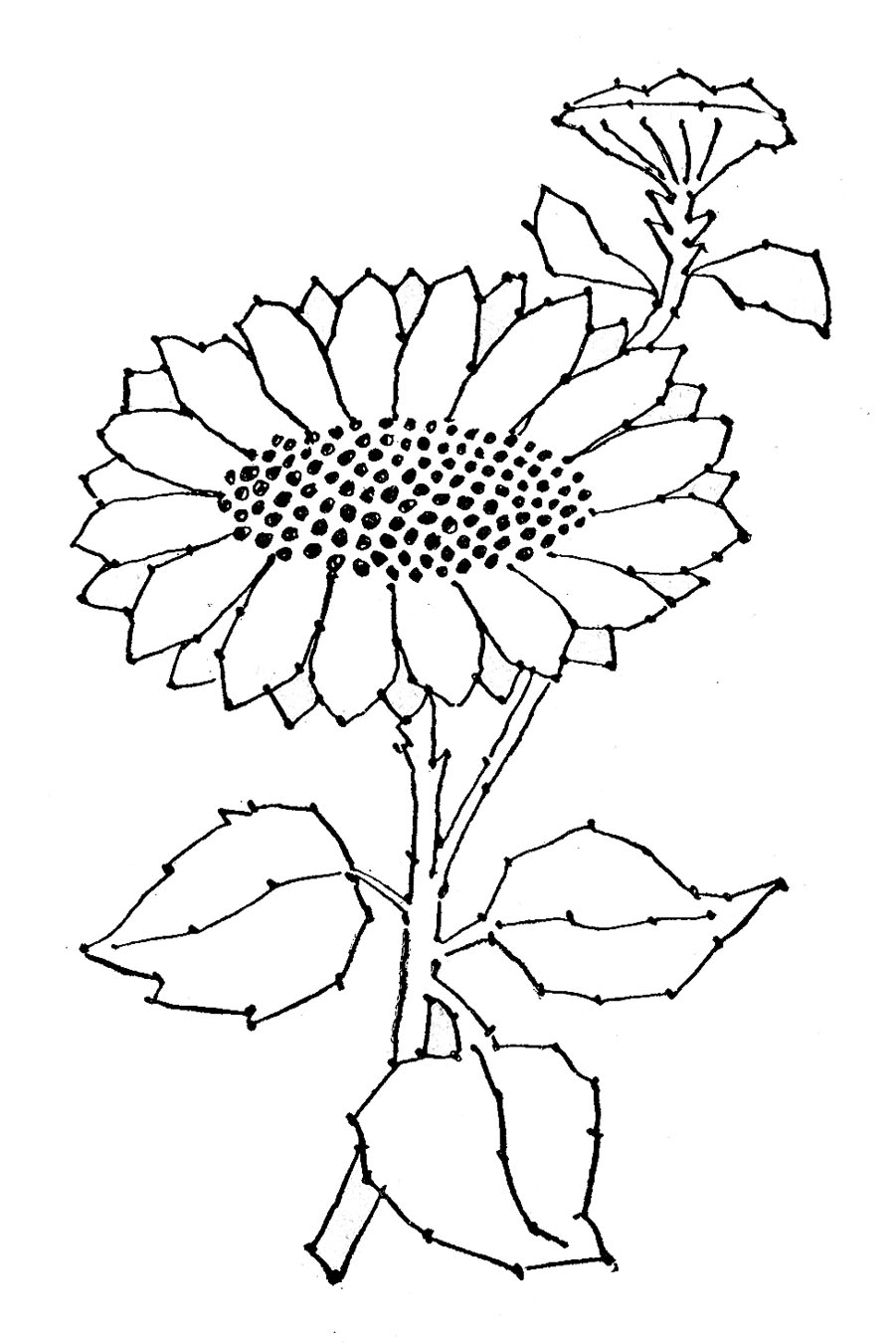 Free Black Sunflower Cliparts, Download Free Clip Art, Free.