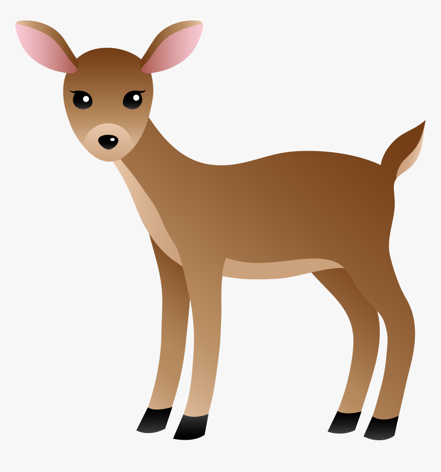 White Tailed Deer Clipart, HD Png Download , Transparent Png.
