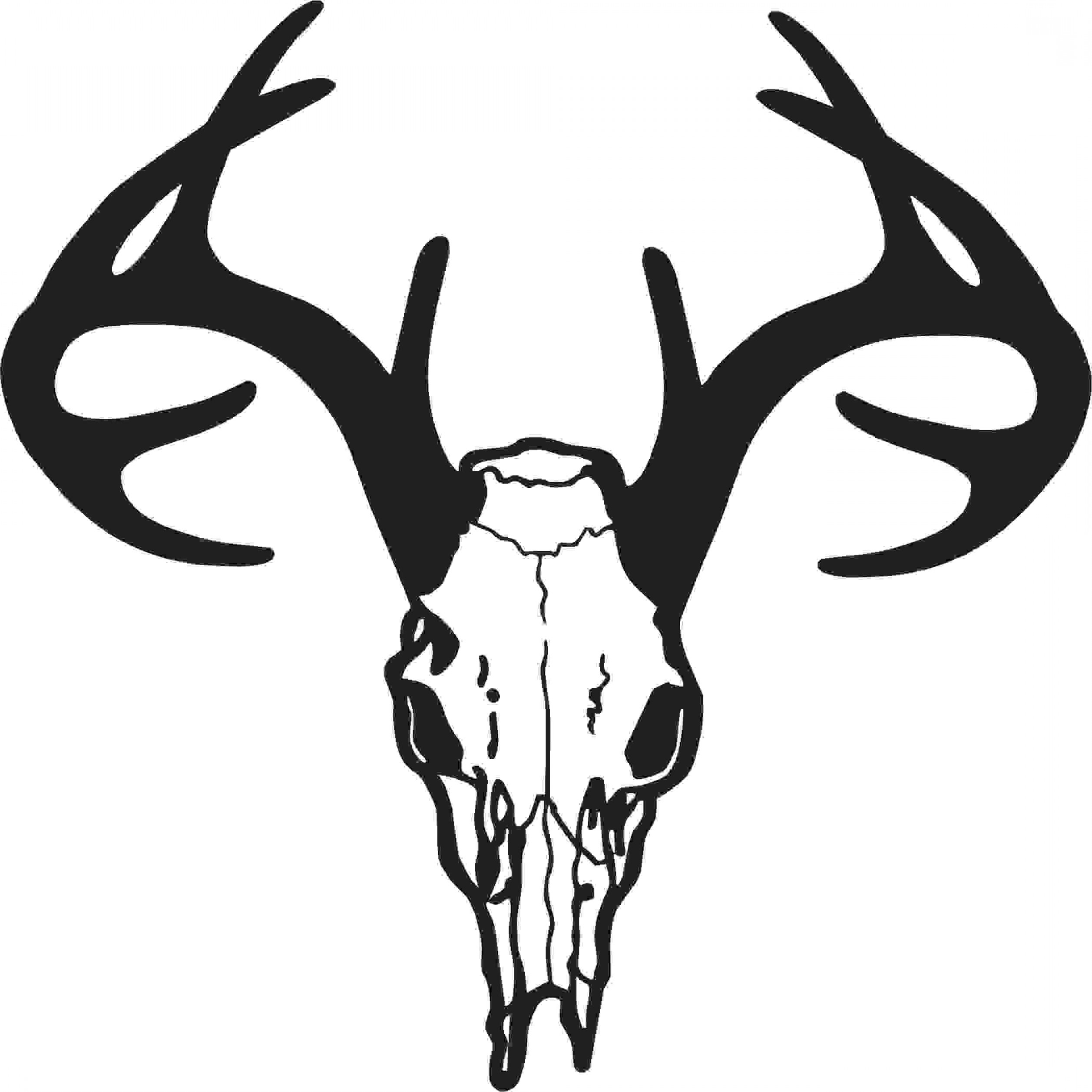 Download white tail deer buck head clipart 20 free Cliparts ...