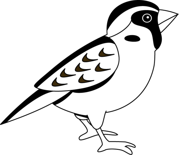 Sparrow Clipart Black And White.