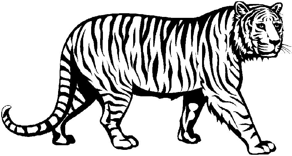 Black And White Tiger Clipart & Black And White Tiger Clip Art.