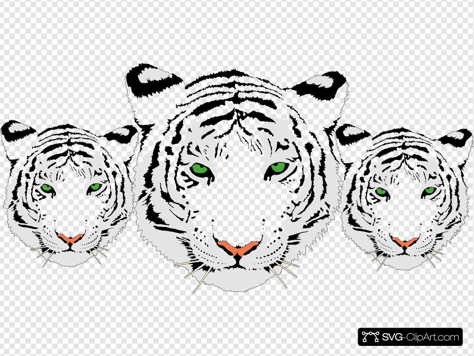 3 White Tiger Heads Clip art, Icon and SVG.