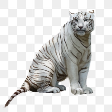 Tiger PNG Images, Download 1,890 PNG Resources with Transparent.