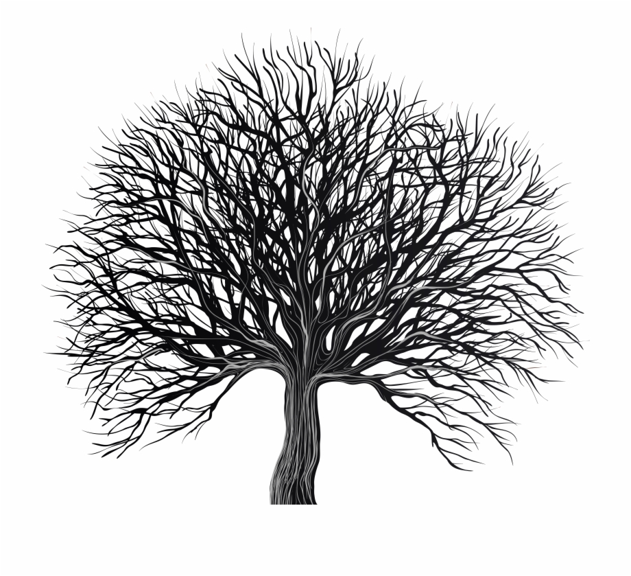 Free Black And White Tree Silhouette, Download Free Clip Art.