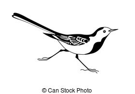 Wagtail Illustrations and Clip Art. 79 Wagtail royalty free.