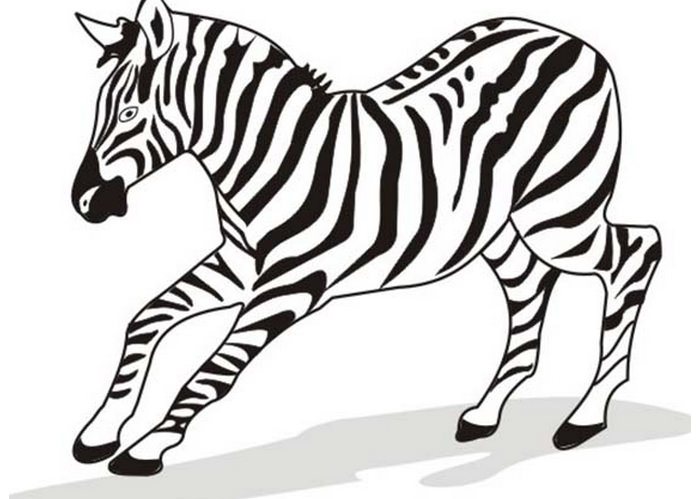 zebra outline.