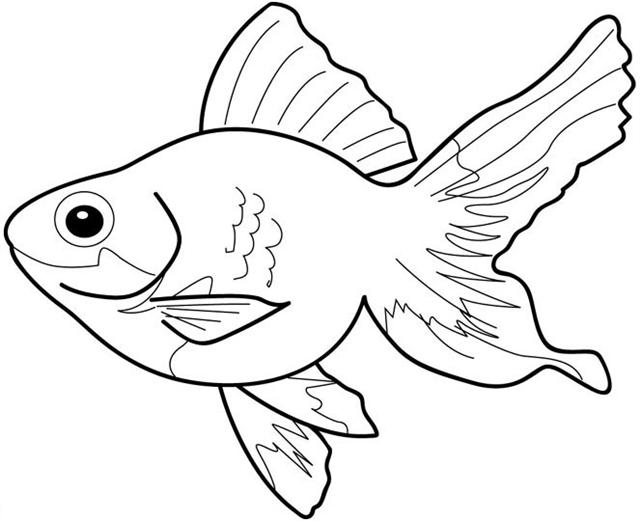 Black and White Fish Clipart.