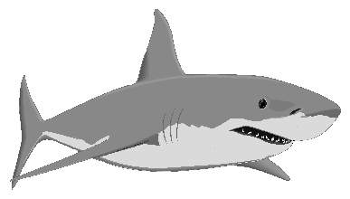 Great White Shark Clipart & Great White Shark Clip Art Images.