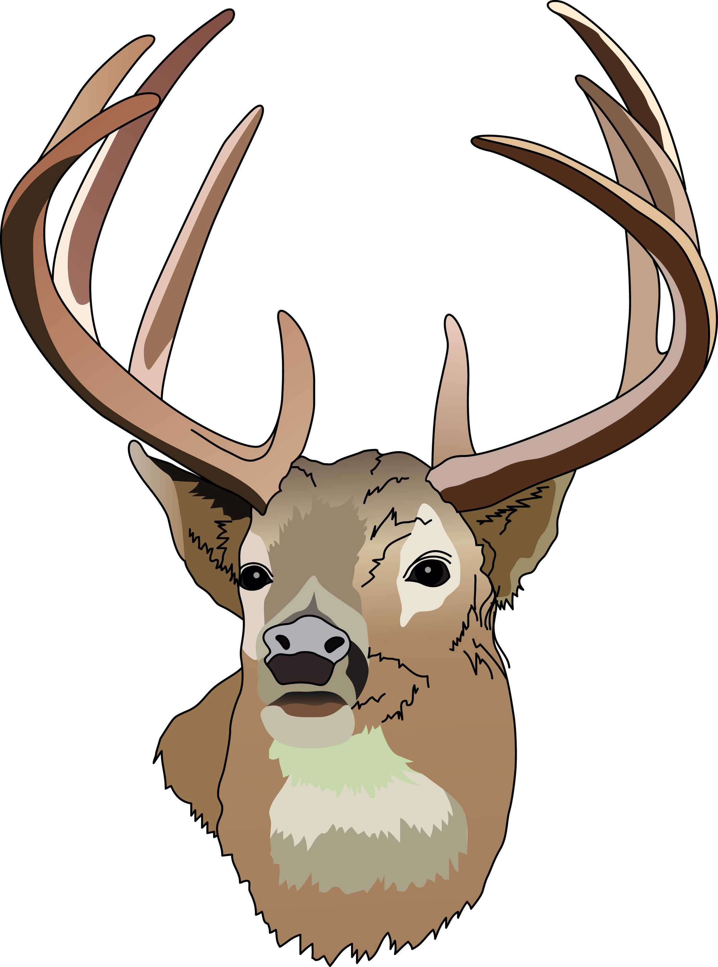 Whitetail Deer Vector Download 119 Vectors.