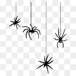 Widow Spider PNG and Widow Spider Transparent Clipart Free.