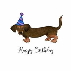22 Best Happy Birthday Dachshund images.
