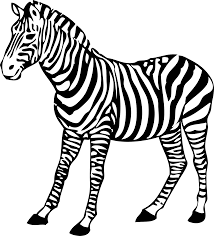 Image result for zoo animals clipart black and white.