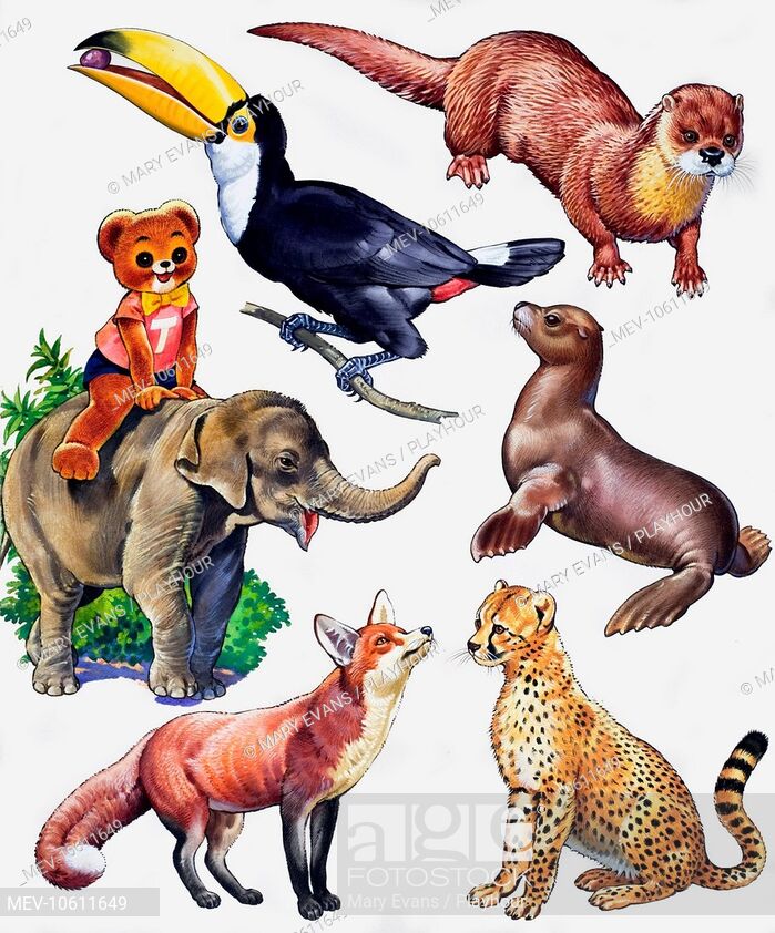 Animal montage. From Teddy Bear Annual, Stock Photo, Picture.