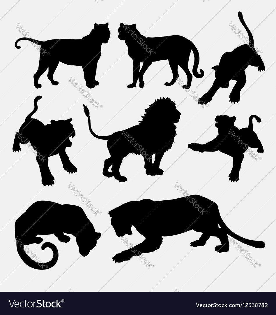 Tiger and lion wild animal silhouette.