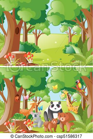 Forest scenes with wild animals.