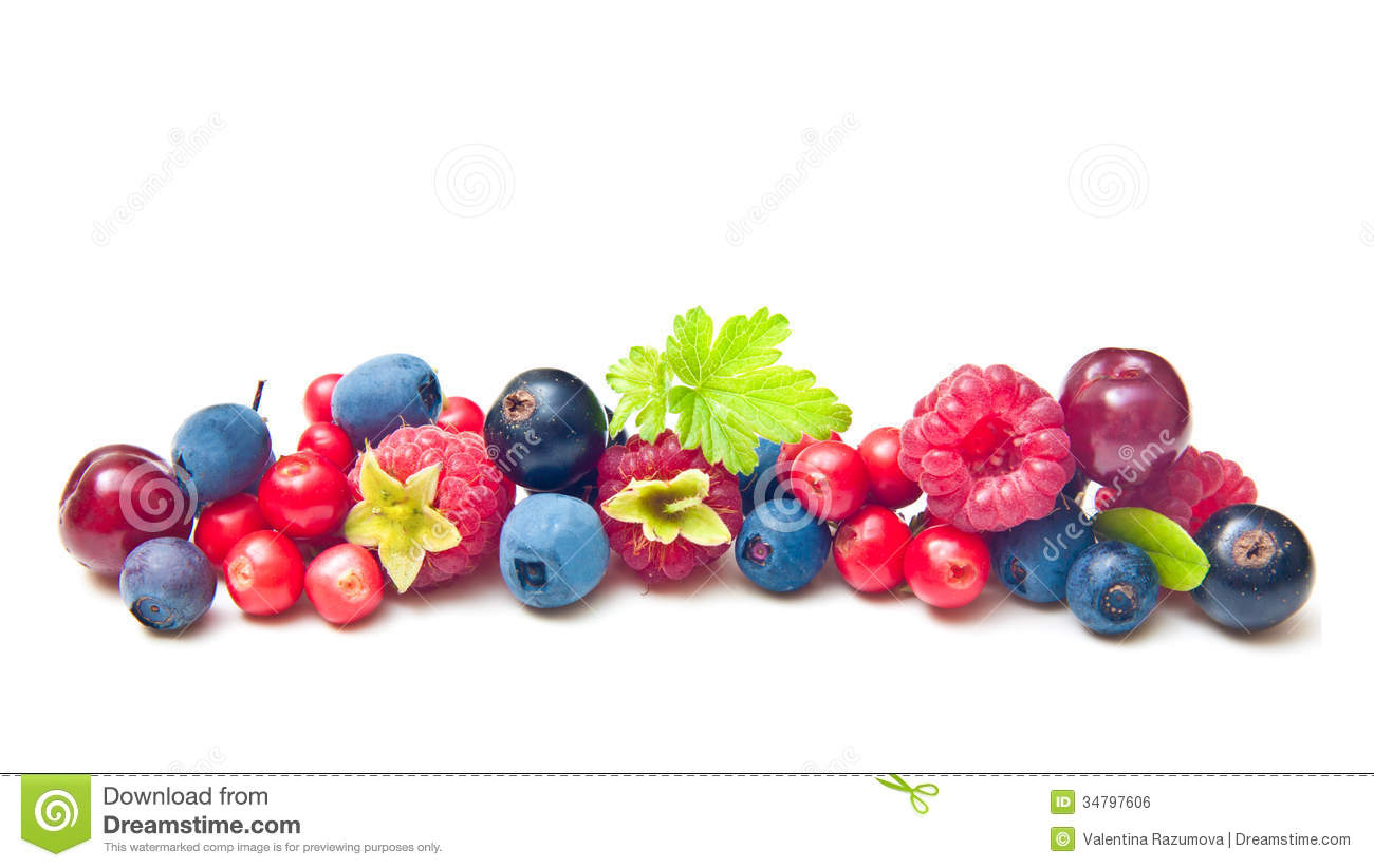 Wild berry clipart 20 free Cliparts | Download images on Clipground 2022