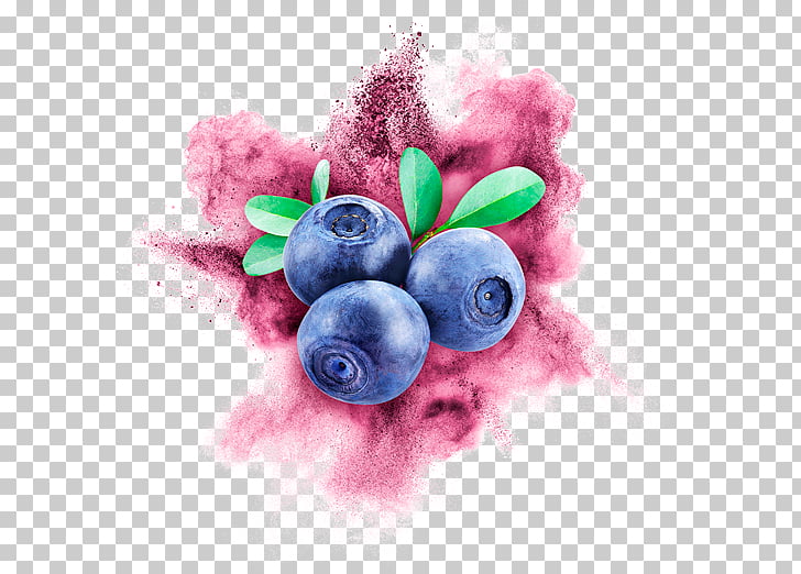 United States Bilberry Cry Baby Photography Desktop , wild.