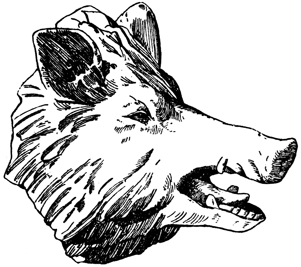 Free Boar\'s Head Cliparts, Download Free Clip Art, Free Clip.