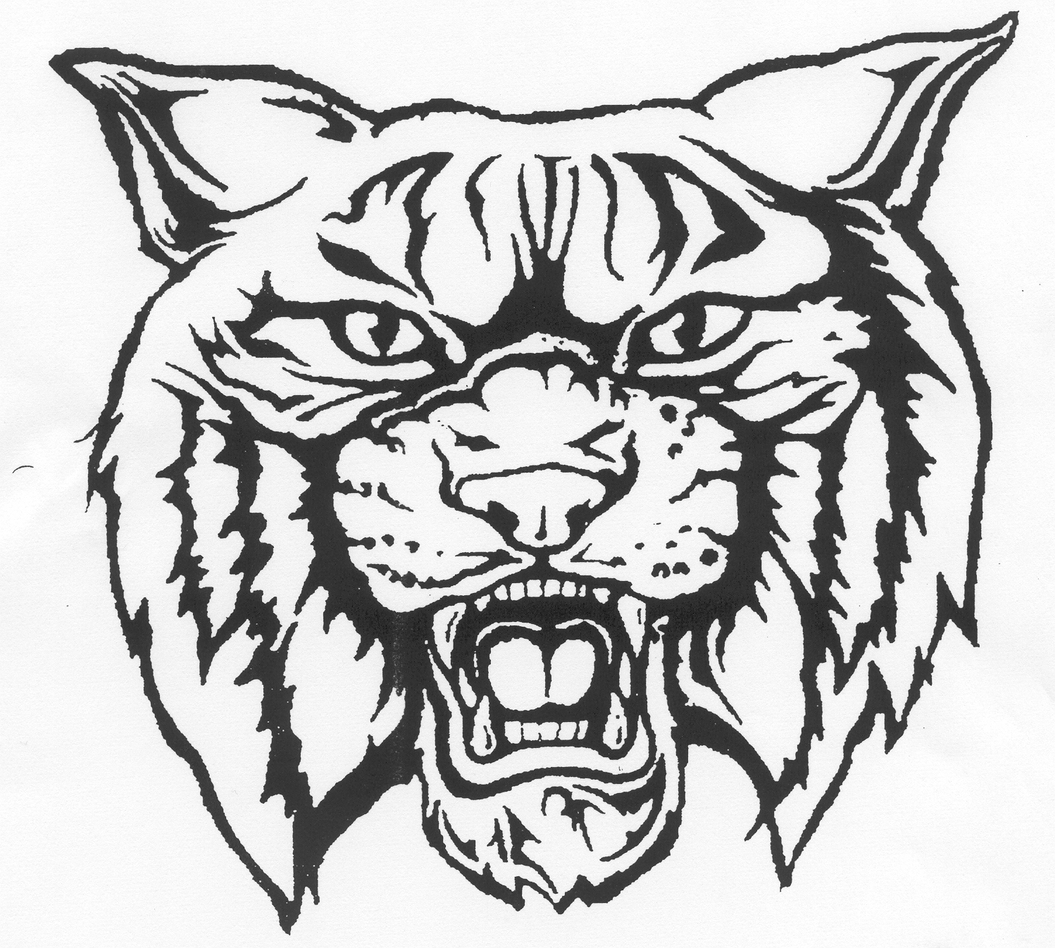 wildcat face clipart 10 free Cliparts | Download images on Clipground 2021