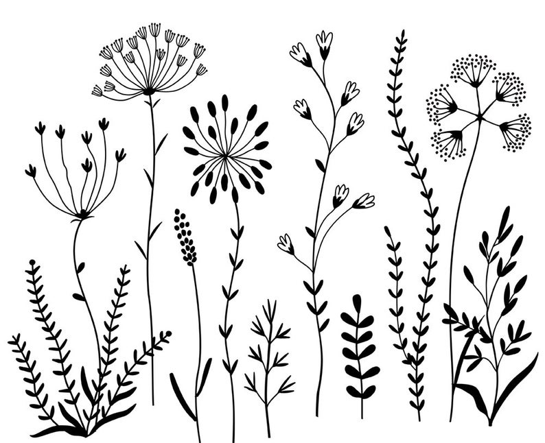 Wildflowers Clipart and Stamps. Digital Clipart. Clip Art Flowers. Digital  brushes. Digital Graphics..