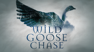 Wild Goose Chase.