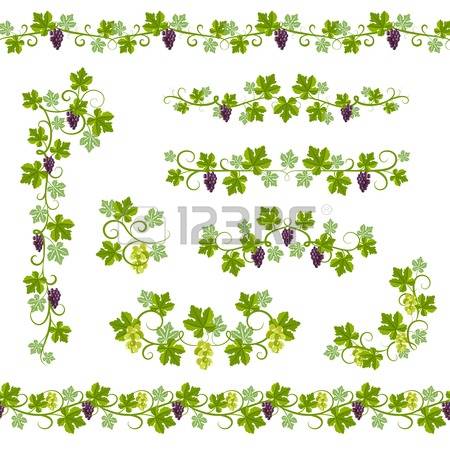 11,766 Grape Vine Stock Vector Illustration And Royalty Free Grape.